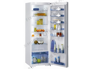 Холодильник Gorenje R67364W (154570, HKS3666PF) - Фото